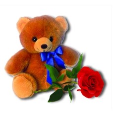 Teddy Rose (SPECIAL)